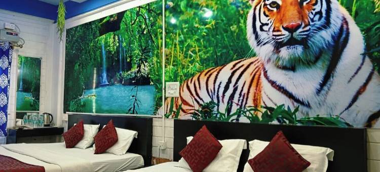 班迪普拉可汗度假村(Bandipura Khans Resort)图片