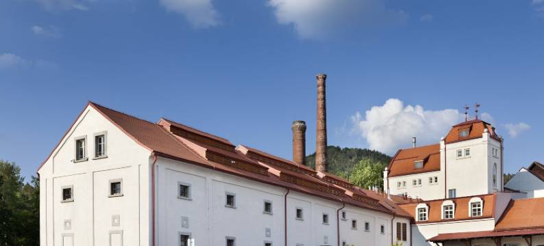 克莱斯酒店(Hotel Kleis)图片