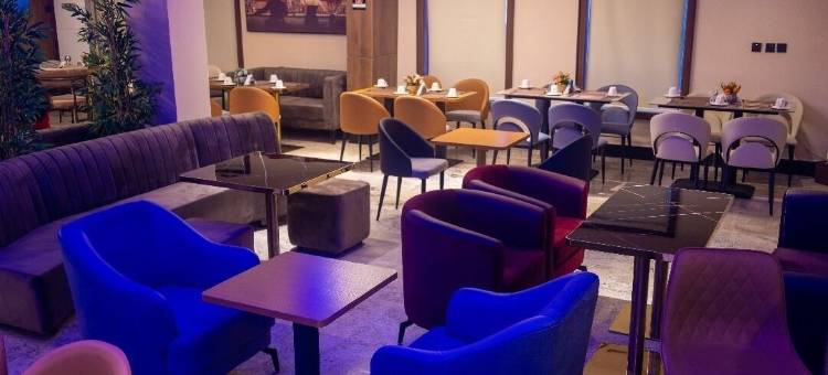 达夫米奇酒店(DavMich Hotel)图片