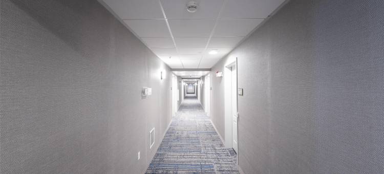 西雅图/肯特欢朋套房酒店(Hampton Inn & Suites Seattle/Kent)图片