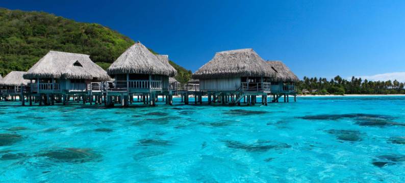 索菲特起亚索菲特奥拉莫雷阿岛海滩度假酒店(Sofitel Kia Ora Moorea Beach Resort)图片