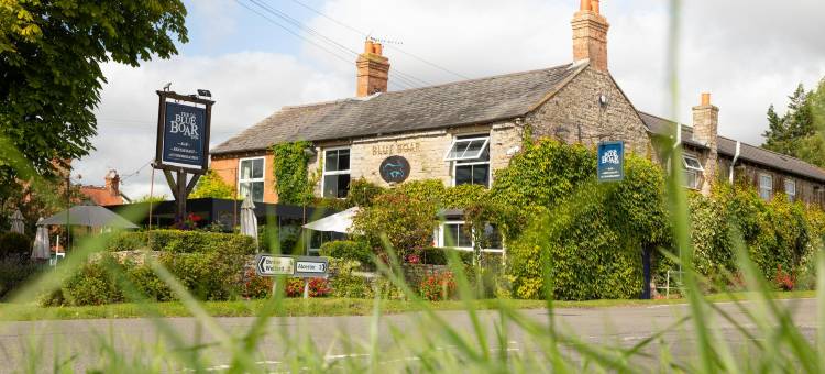 蓝野猪客栈(The Blue Boar - Historic Country Inn Near Stratford-Upon-Avon)图片