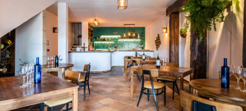 生态生活酒店特内里费(Hotel Ecolife Tenerife)图片