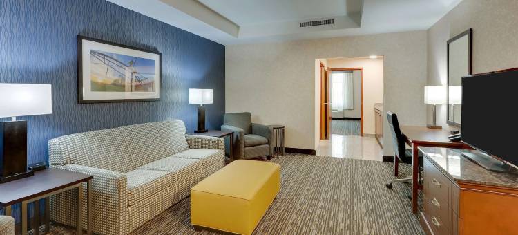 塞克斯顿德鲁套房酒店(Drury Inn & Suites Sikeston)图片