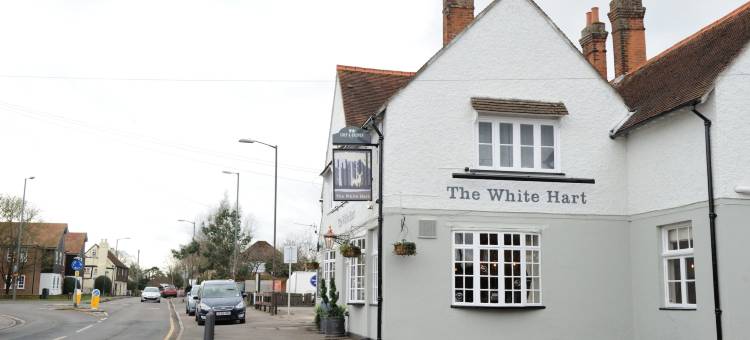 白鹿 - 格林国王旅馆(White Hart by Chef & Brewer Collection)图片