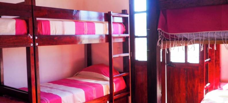 洛斯冈萨雷斯旅馆(Hostal Los González)图片