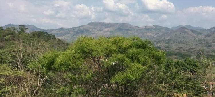 地球之母(Terramaya)图片