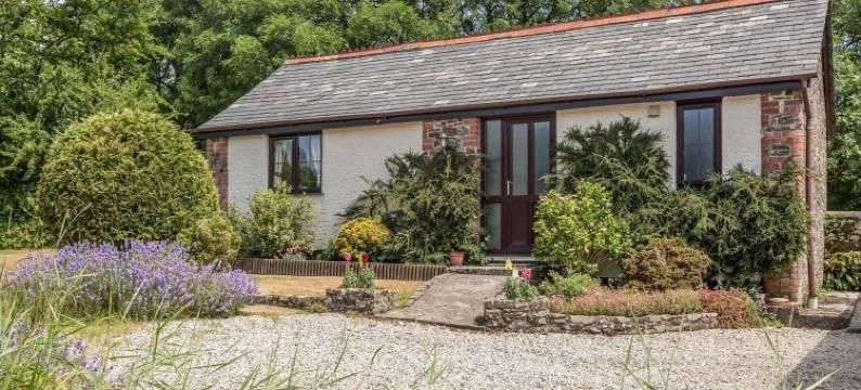 鹡鸰(Wagtail)图片