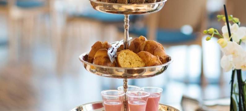 厄尔松会议中心及 Spa 酒店(Hotel Öresund Conference & Spa)图片