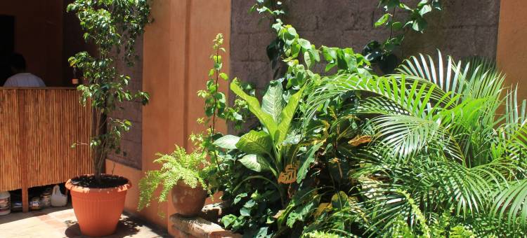 3 棵棕榈树住宅酒店(3 Palms Residence)图片