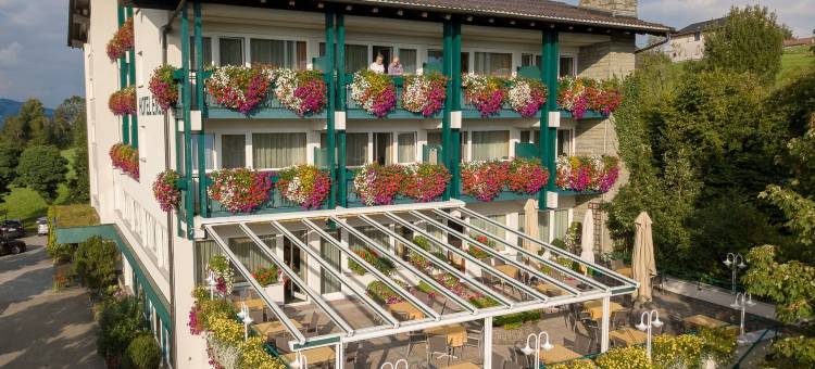 恩格尔酒店(Hotel Engel Alberschwende)图片