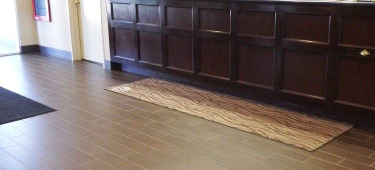 舒适套房酒店(Comfort Inn & Suites)图片