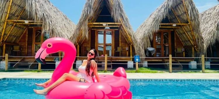 帕洛米诺日出(Palomino Sunrise)图片