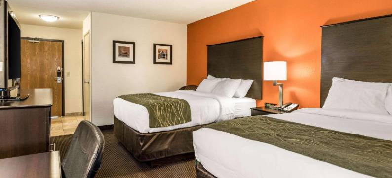 双翼体育场舒适酒店(Comfort Inn Wings Stadium)图片