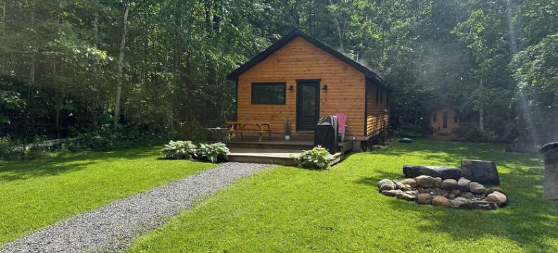 Bala Vida Cottage Steps to Lake Muskoka with Fire Pit & New Cedar Barrel Sauna图片