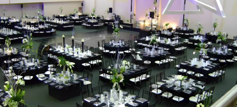 波萨达德坦皮科酒店(Posada de Tampico)图片