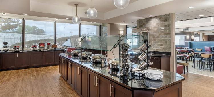 亚特兰大南德鲁里套房酒店(Drury Inn & Suites Atlanta Morrow)图片