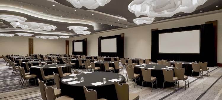 洛伊斯芝加哥奥黑尔酒店(Loews Chicago O'Hare Hotel)图片