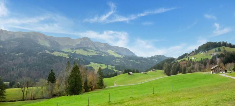 带花园的锡布拉茨盖尔画意工作室(Chalet in Sibratsgfäll Near Ski Slopes)图片