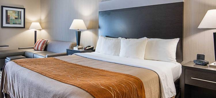 肯顿舒适酒店(Comfort Inn Camden)图片