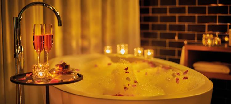 索雷尔瑞吉布里柯酒店(Rigiblick Spa Suites & Studios)图片