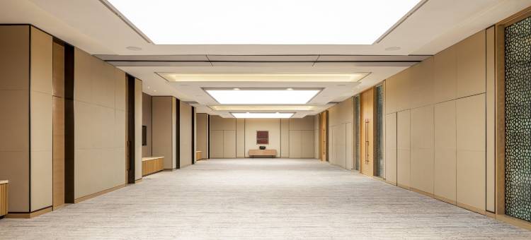 萨迪亚特罗塔纳度假村及别墅(Saadiyat Rotana Resort & Villas)图片