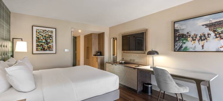 UAB 伯明翰市中心希尔顿酒店(Hilton Birmingham Downtown at UAB)图片