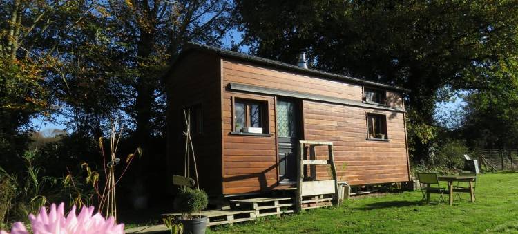 Nature getaway in a Tiny House at 4 km Beach图片