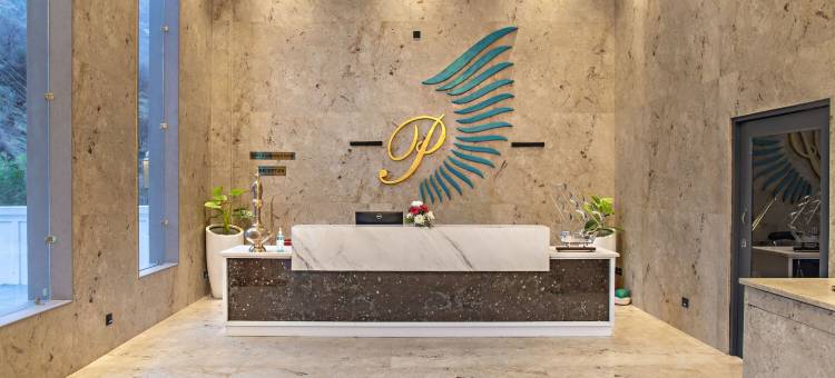 Echor棕榈滨海度假村和水疗中心(Echor Palm Bliss Riverside Resort & Spa Kasol)图片