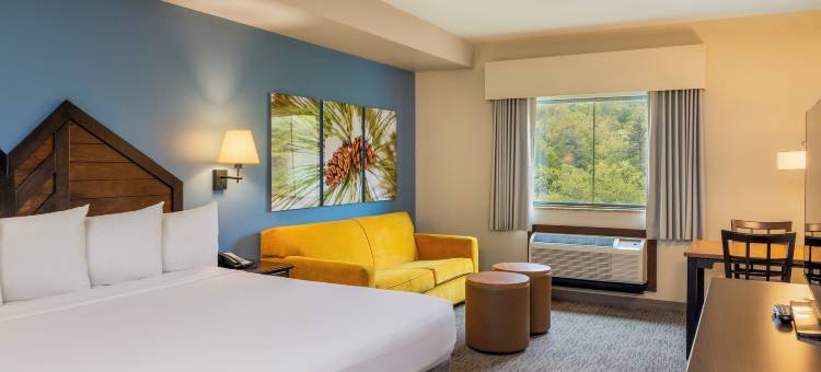 凯莫贝克旅馆及水族馆室内水上乐园(Camelback Lodge & Aquatopia Indoor Waterpark)图片