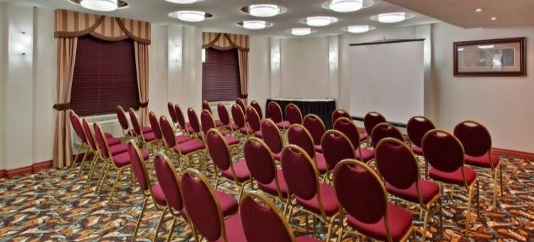 卡尔加里机场假日酒店(Holiday Inn Calgary-Airport)图片