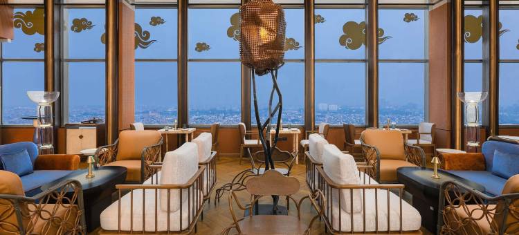 新德里市中心诺富特酒店(Novotel New Delhi City Centre)图片