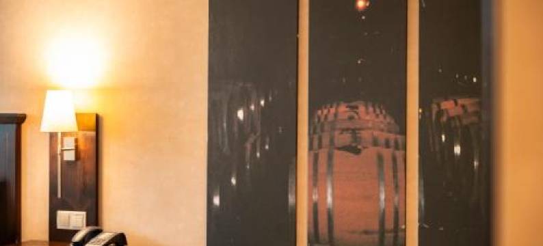 韦恩阔提尔布格花园酒店(Weinquartier Burggarten)图片