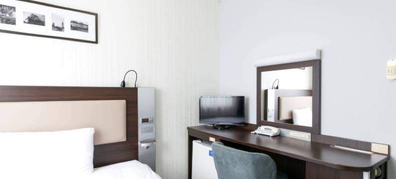 滨松舒适酒店(Comfort Hotel Hamamatsu)图片