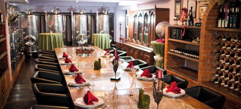 凤凰酒店(Hotel Phoenix)图片