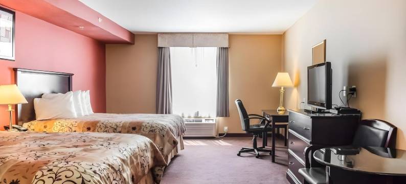 新奥尔良品质酒店(Quality Inn)图片