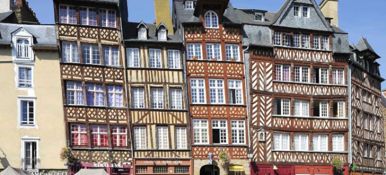 雷恩阿尔马诺富特酒店(Novotel Rennes Alma)图片