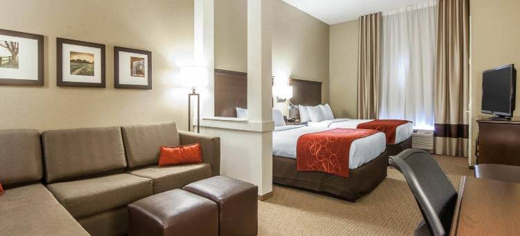 马利耶塔派克斯伯格市舒适套房酒店(Comfort Suites Marietta-Parkersburg)图片