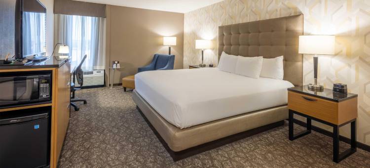 圣路易斯机场德鲁里套房酒店(Drury Inn & Suites St. Louis Airport)图片