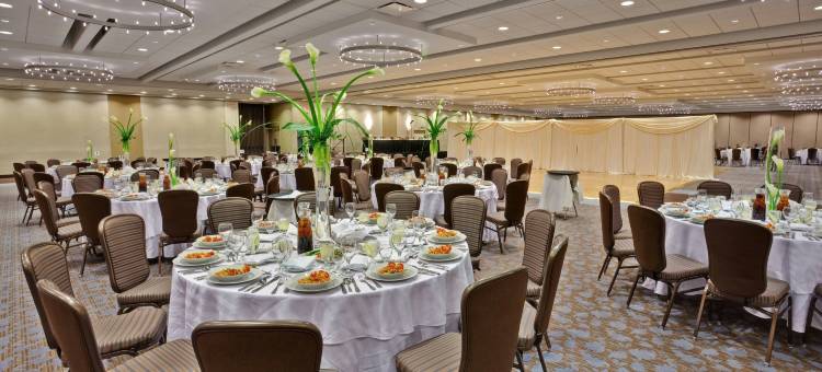 芝加哥奥黑尔皇冠假日酒店与会议中心(Crowne Plaza CHICAGO OHARE HOTEL & CONF CTR by IHG)图片