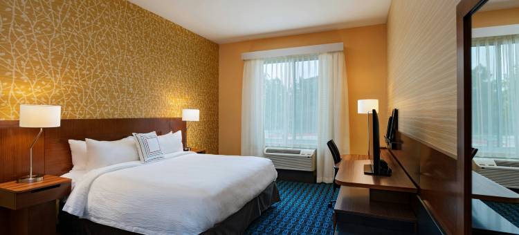 休斯敦县里奇蒙万枫酒店及套房(Fairfield Inn & Suites Houston Richmond)图片