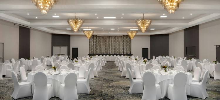 希尔顿逸林酒店金斯顿(DoubleTree by Hilton Kingston)图片