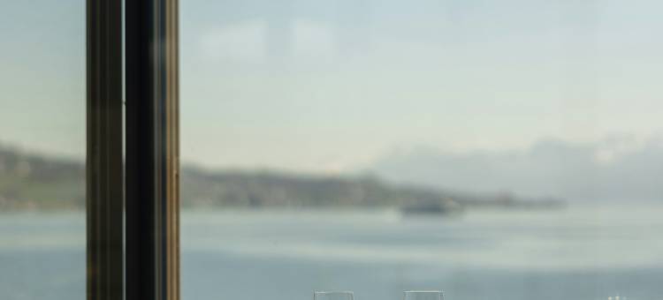 亚历克斯湖苏黎世 - 生活方式酒店和套房(Alex Lake Zürich - Lifestyle Hotel and Suites)图片