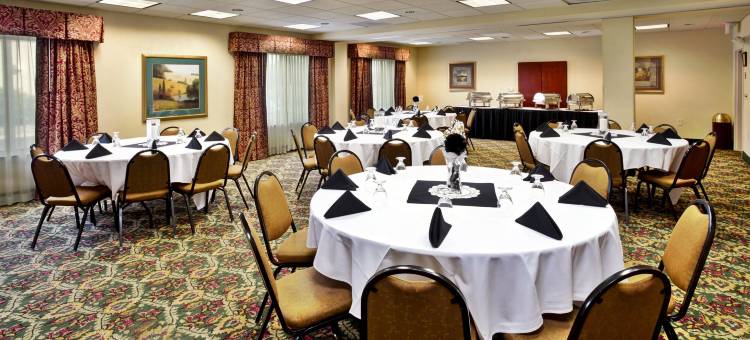 Holiday Inn & Suites 安阿伯大学密歇根地区(Holiday Inn & Suites ANN ARBOR UNIV. MICHIGAN AREA by IHG)图片