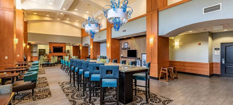 奥兰多南布埃纳维斯塔湖欢朋套房酒店(Hampton Inn & Suites Orlando-South Lake Buena Vista)图片