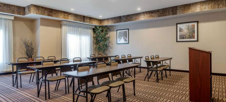 舒适套房酒店(Comfort Inn & Suites)图片