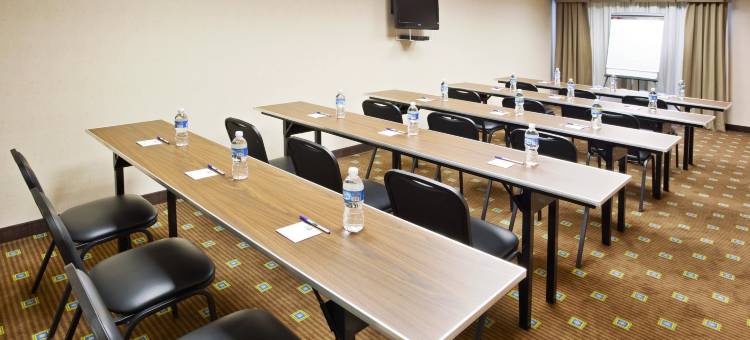 智选假日套房酒店东兰辛(Holiday Inn Express & Suites East Lansing)图片