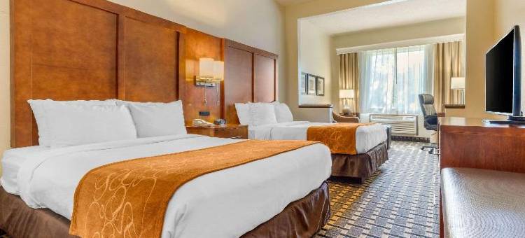 萨默维尔 - 查尔斯顿舒适酒店(Comfort Inn Summerville - Charleston)图片