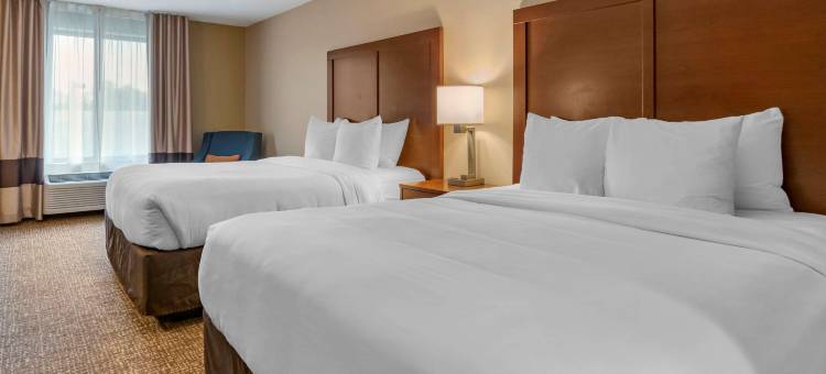 舒适酒店-81号州际公路和宾州收费公路(Comfort Inn PA Turnpike - I-81)图片