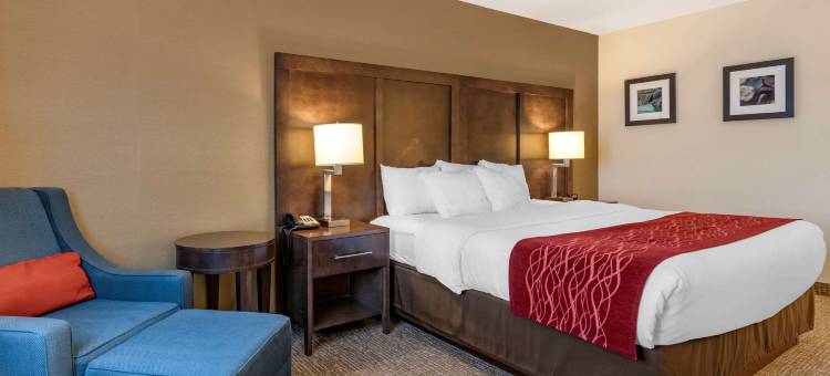 威廉斯波特舒适酒店(Comfort Inn Williamsport)图片